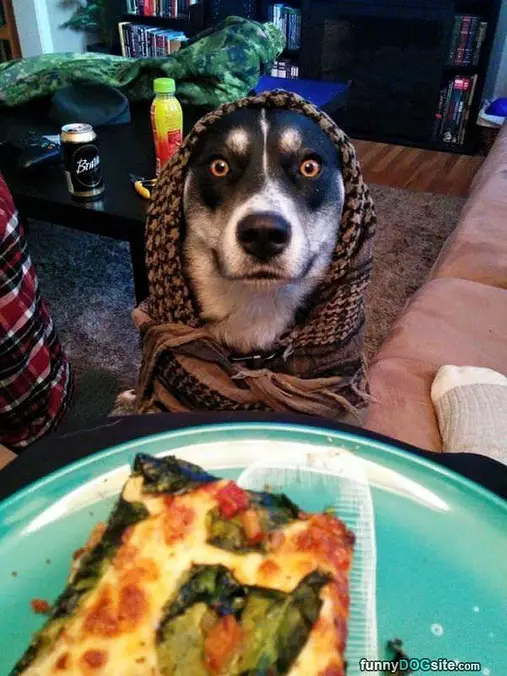 I Do Want That