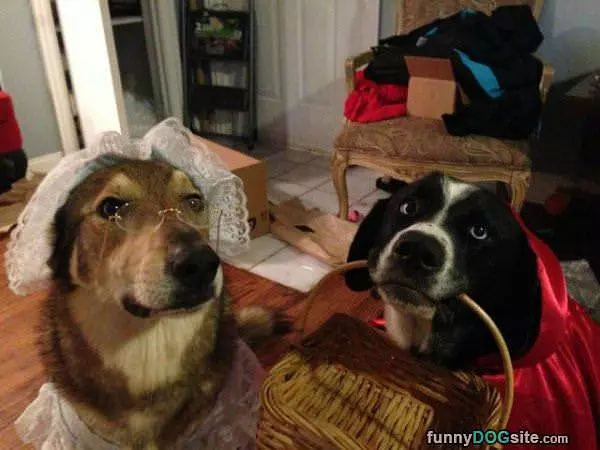 Time For A Picnic