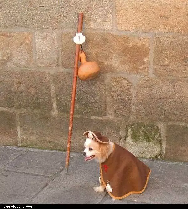 Hobo