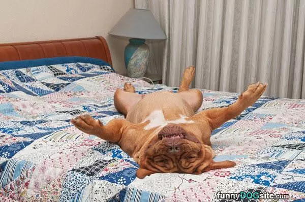 As Relaxed As I Get
