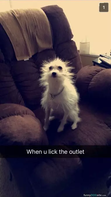 Lick The Outlet