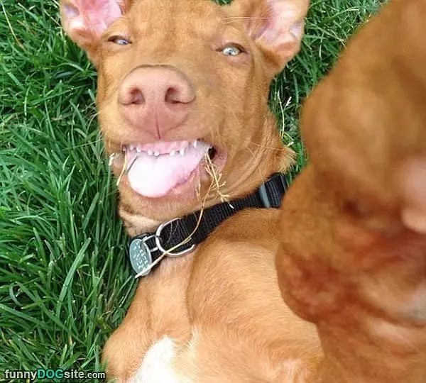 Taking A Selfie