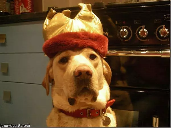 King Rusty