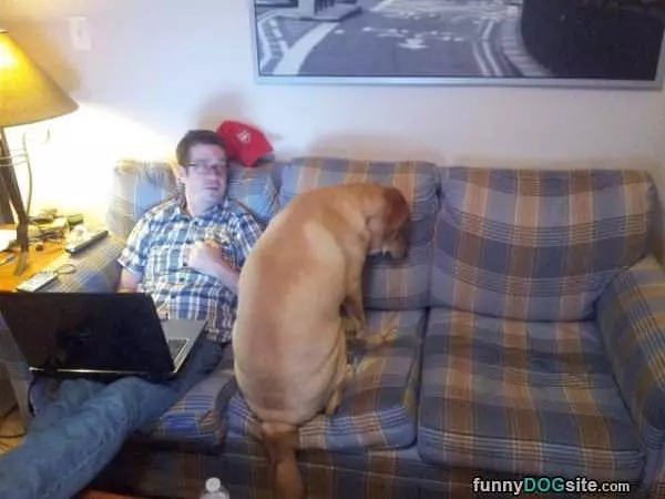 How Does This Couch Work
