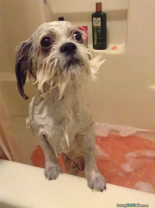 A Fun Bath