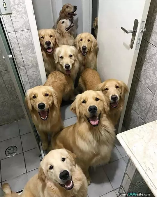 We Are All Home