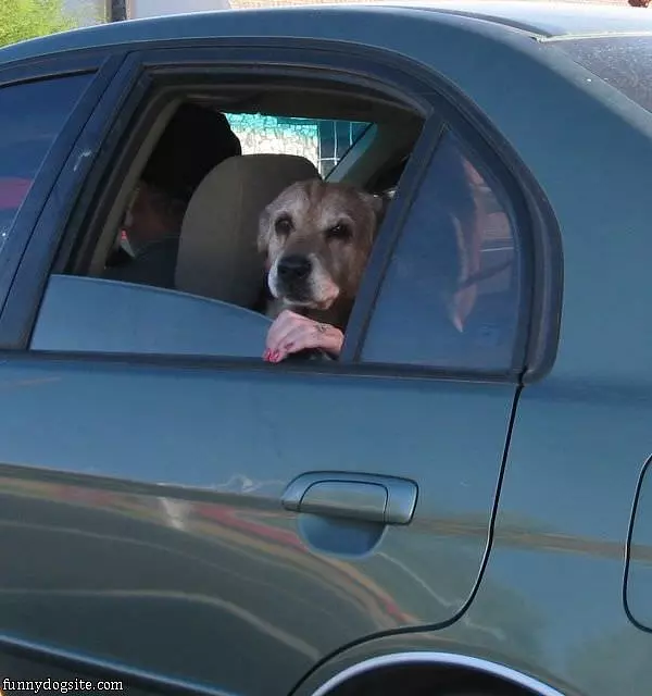 Time For My Ride