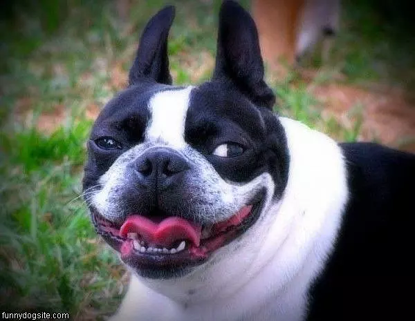 Funny Smile
