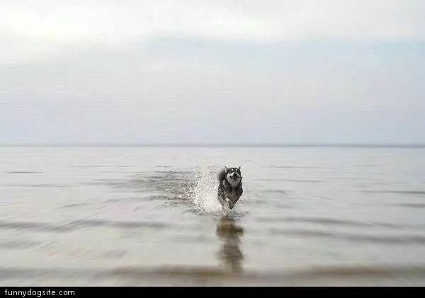 Running Over Water