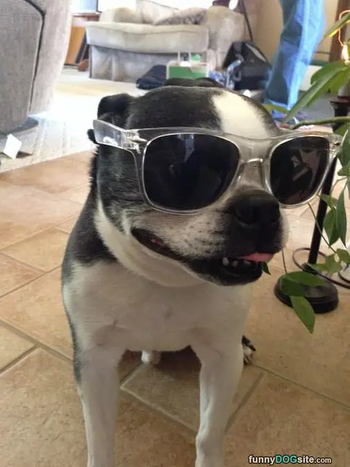 Looking Cool
