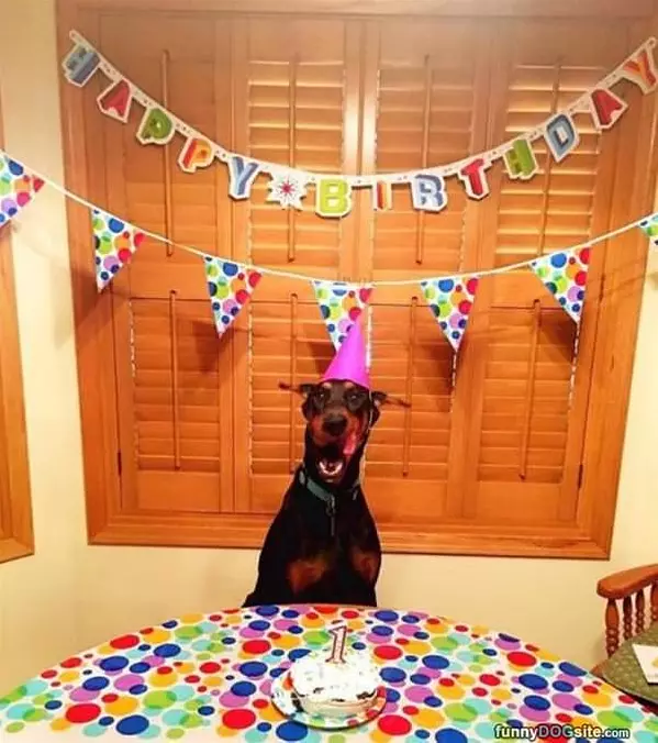 Such A Happy Day