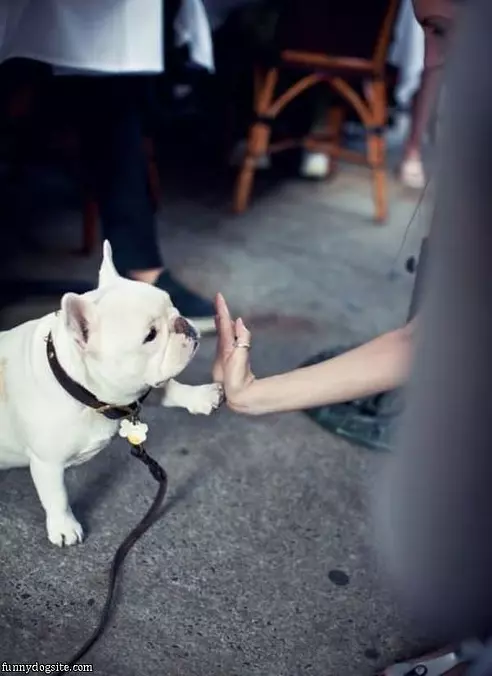 Low Five