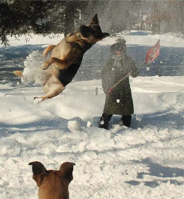 I Love Shoveling
