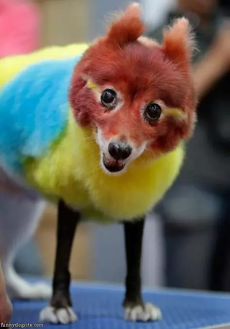 Colorful