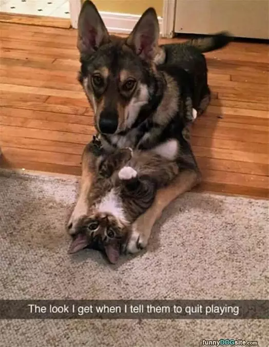 Can You Quit Playing