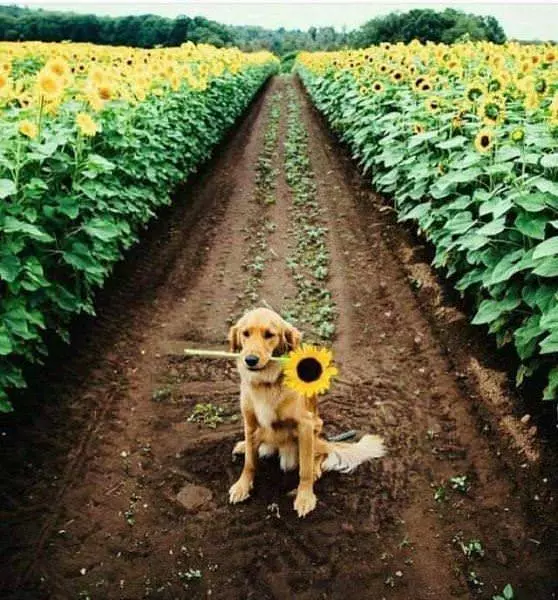 I Got You This