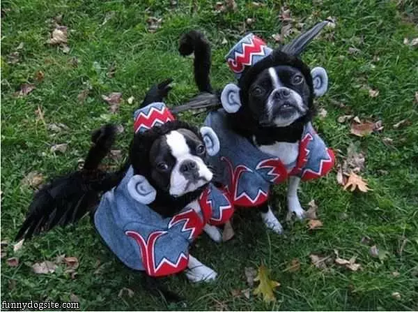 Costumes
