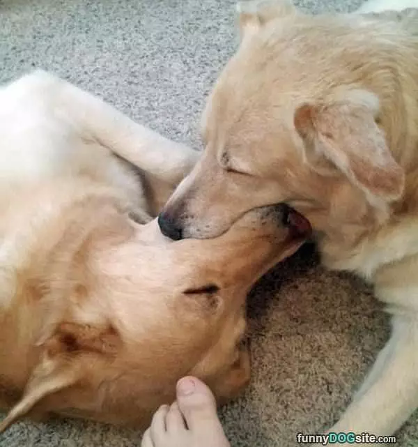 Fighting Over A Snack