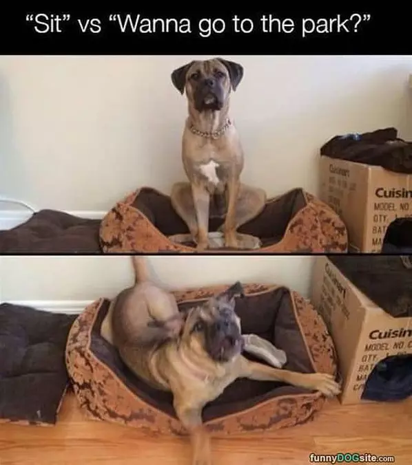 The Park Wins This One