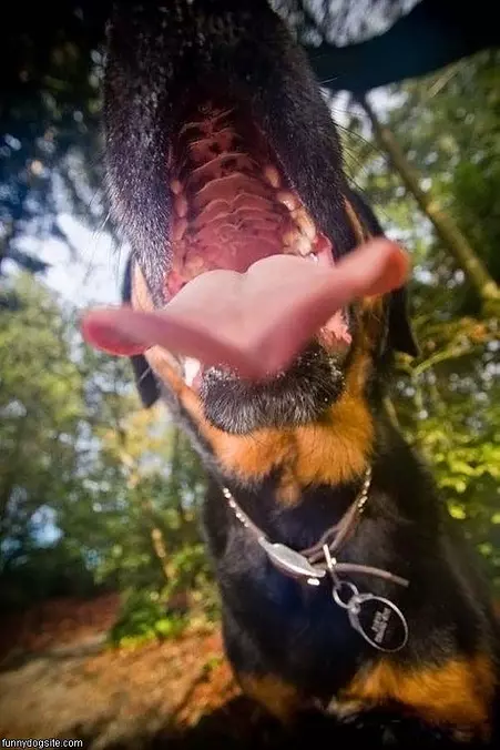 Super Closeup