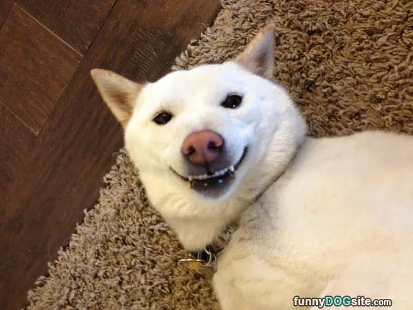Nice Big Smile