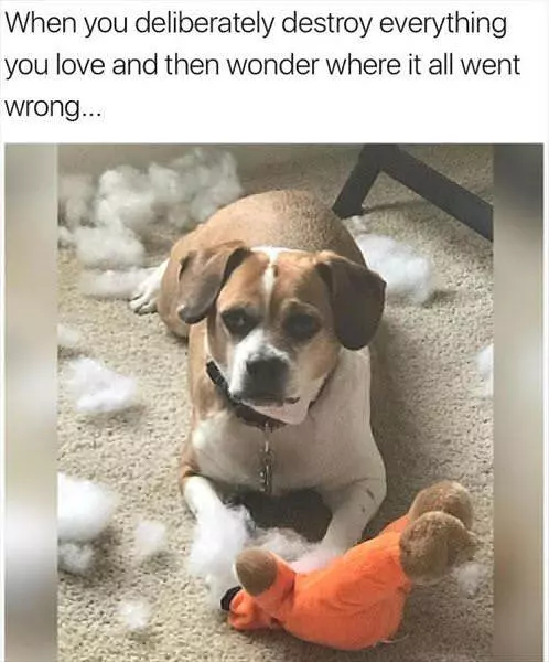 It All Went Wrong