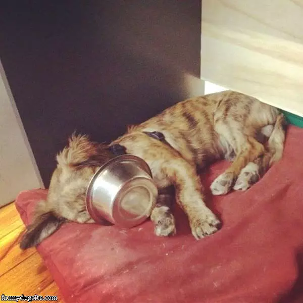 Finishing Every Last Drop