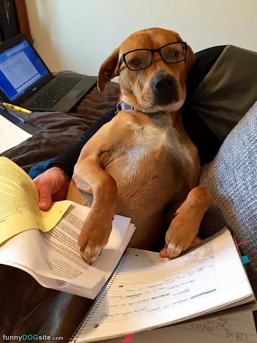Getting Some Work Done