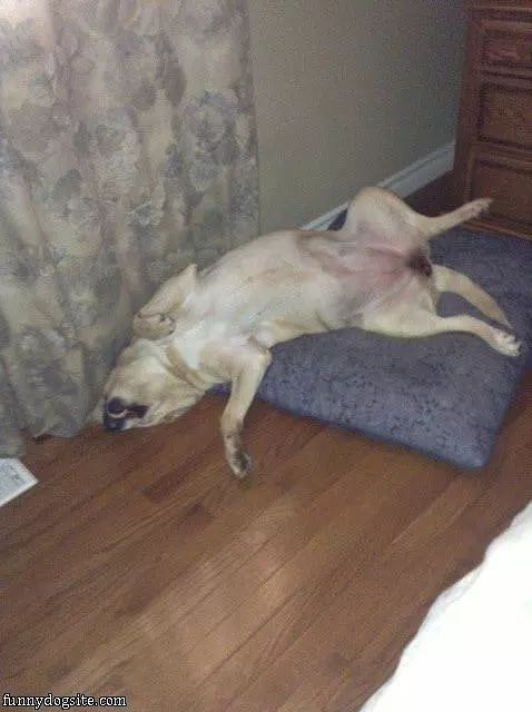 Oh Just Lounging Around