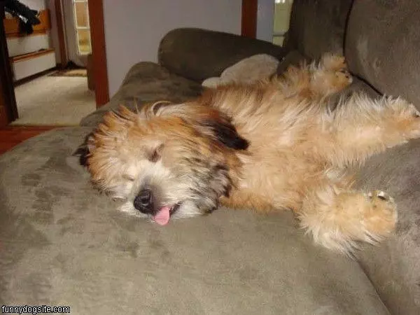 Laying Around