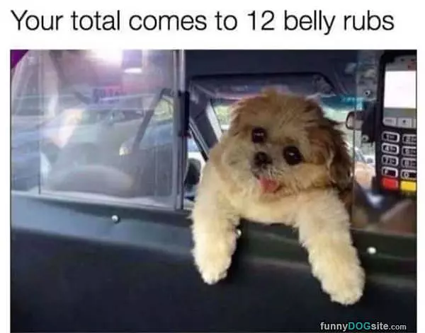Your Total Comes To