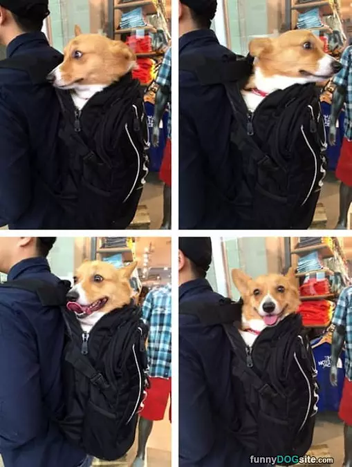 Backpack Happy Dog