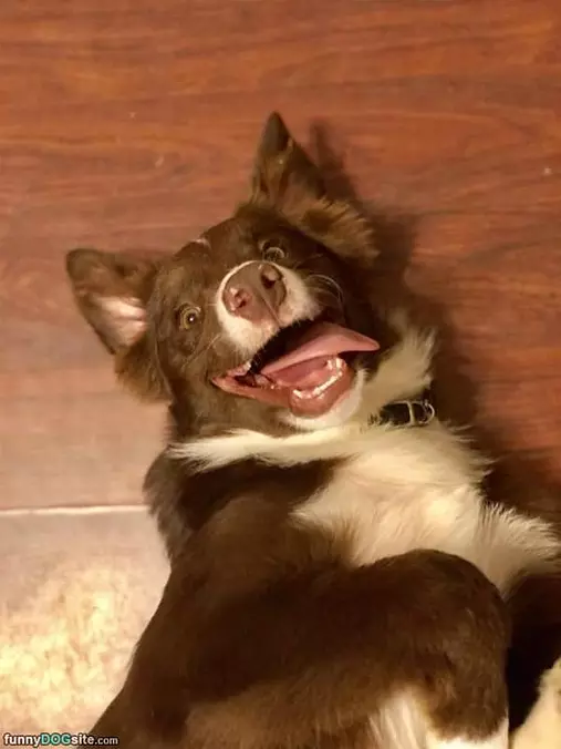 Yea I Am Cute