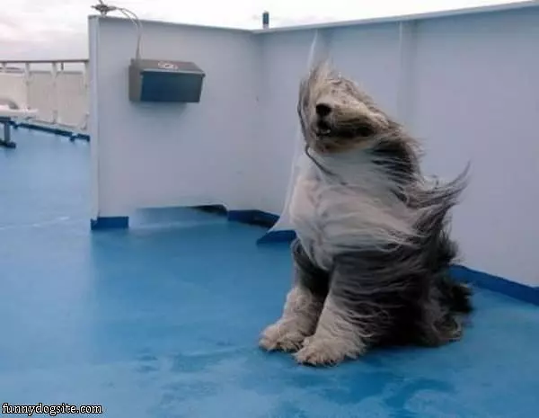 Very Windy