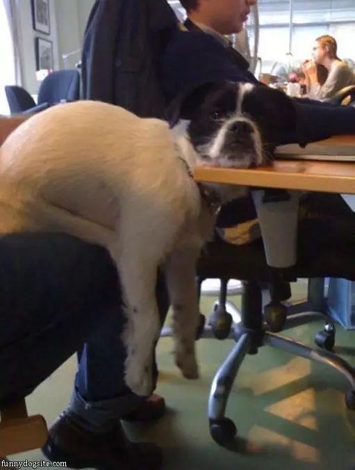 Resting My Head