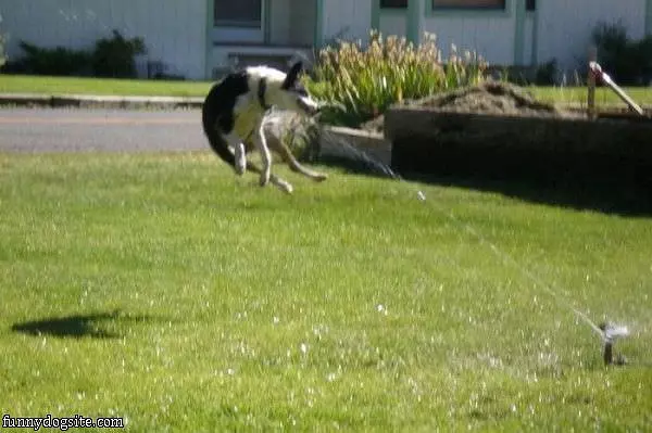 Sprinkler Attack