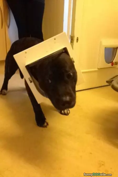I Am Stuck