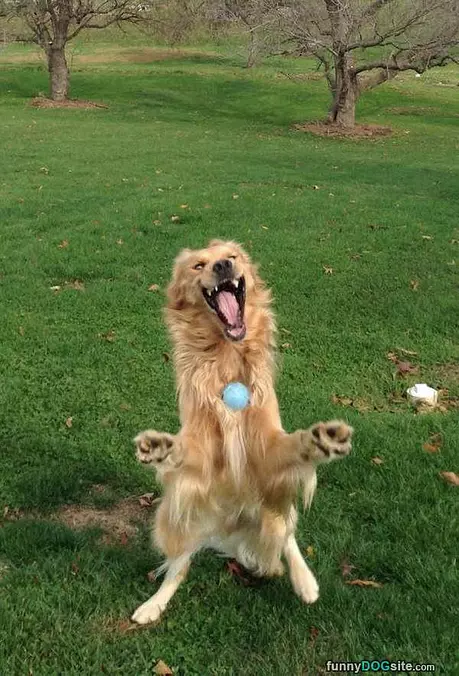 Getting The Ball