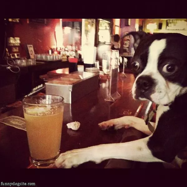 Happy Hour