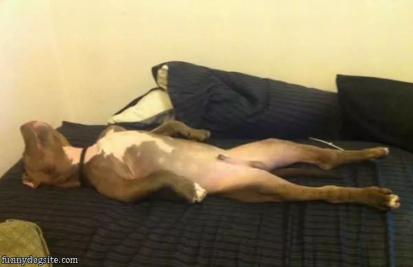 I Sleep How I Want