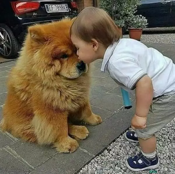 Giving Kisses