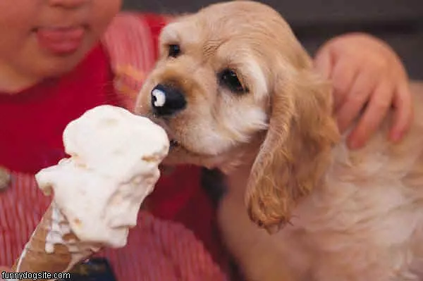 Loves Me Some Ice Cream