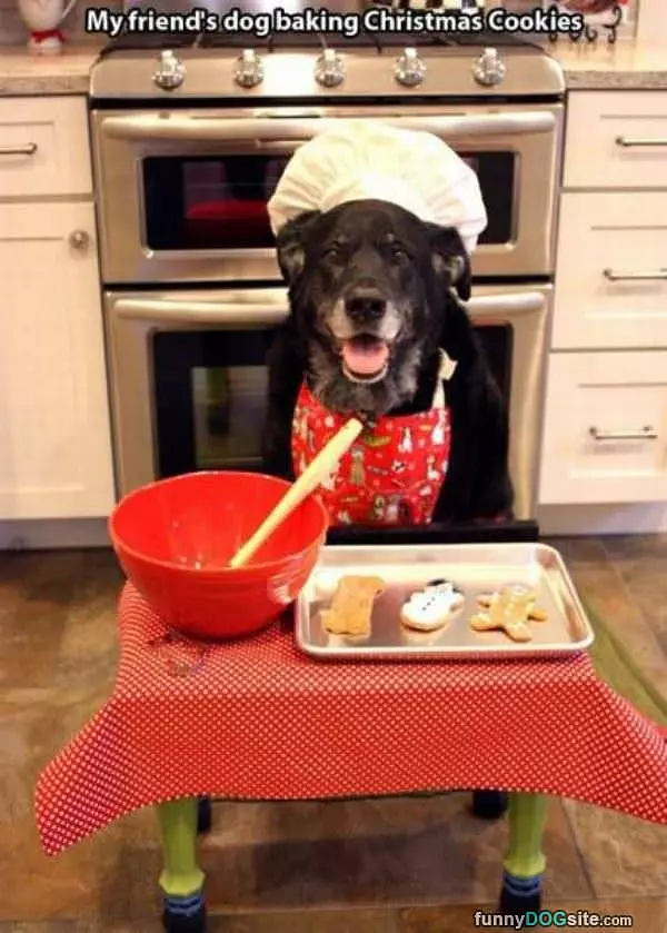 Baking Some Cookies