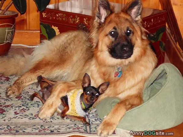 Sharing The Bed