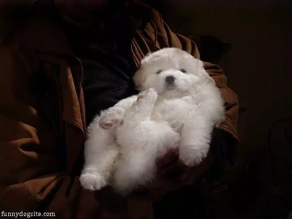 I Sleeps How I Wants