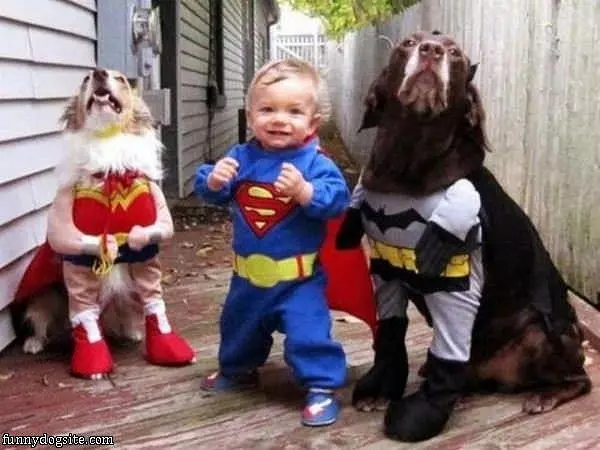 Super Dogs