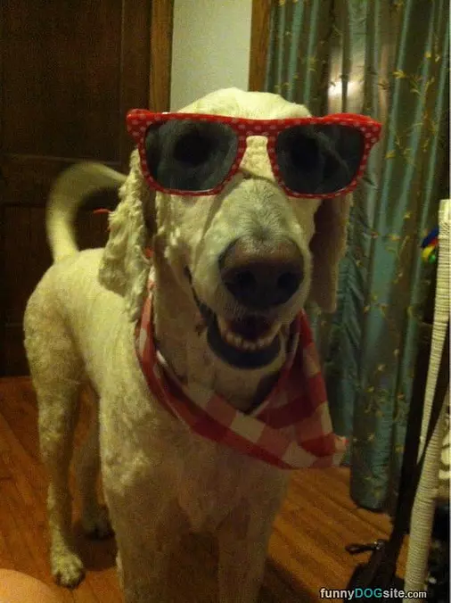 Got My Glasses Ready