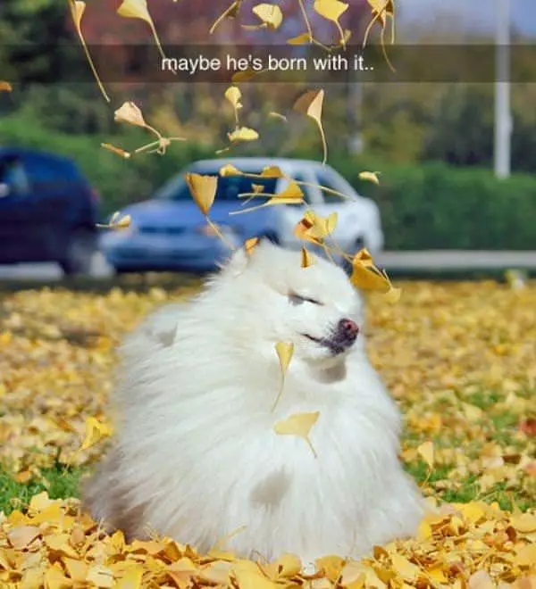 Born With It