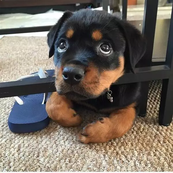 How I Look Cute