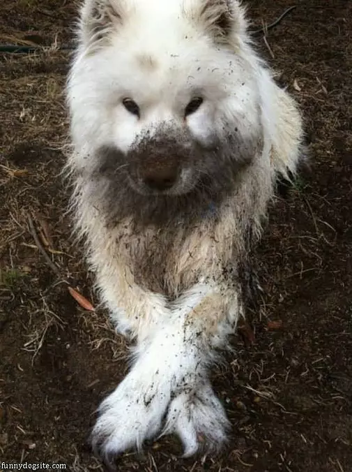 I Love The Mud